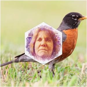 Meet your Posher, Robin